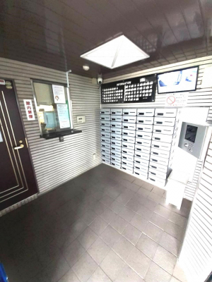 ̑@p