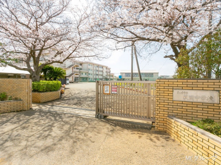 周辺環境　中学校 60m 茅ヶ崎市立萩園中学校