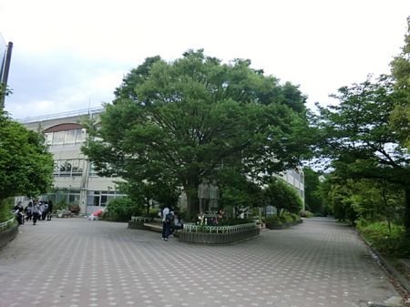 周辺環境　中学校 1230m 川崎市立金程中学校