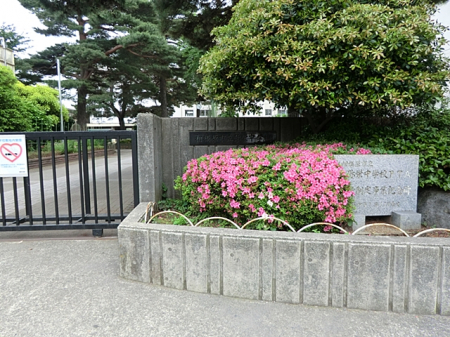 周辺環境　中学校 400m 相模原市立弥栄中学校