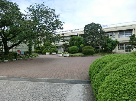 周辺環境　小学校 800m 相模原市立大沢小学校
