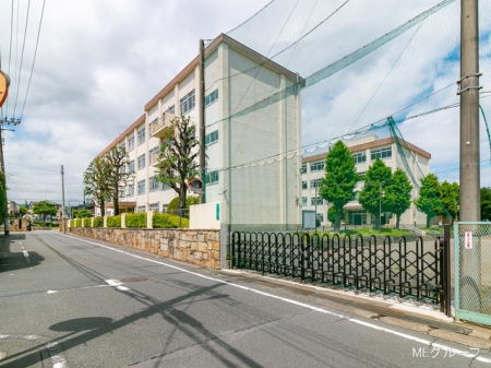 周辺環境　中学校 800m 八王子市立第七中学校
