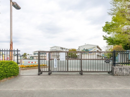 周辺環境　小学校 300m 羽村市立羽村西小学校