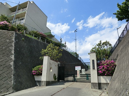 周辺環境　小学校 1000m 八王子市立小宮小学校